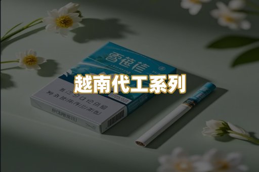 越南代工系列